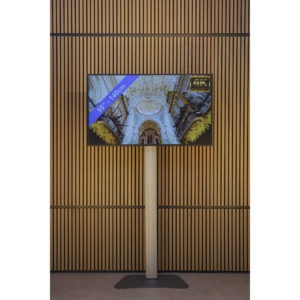 LED TV scherm 55 inch + statief
