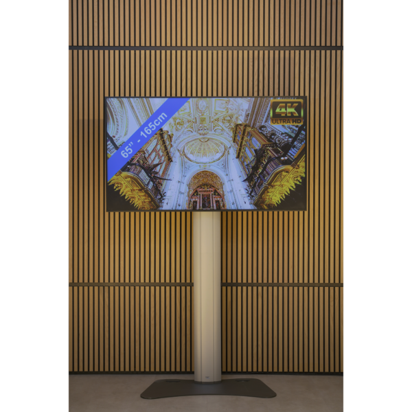 65-Vierkant LED TV scherm 65 inch + statief